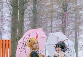 冲着巴鲁巴鲁BaRu的美图去的，结果发现乌尔里希·冯·胡滕的壁纸更让我心动！